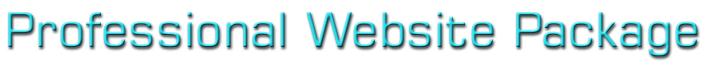 Professional Website Package